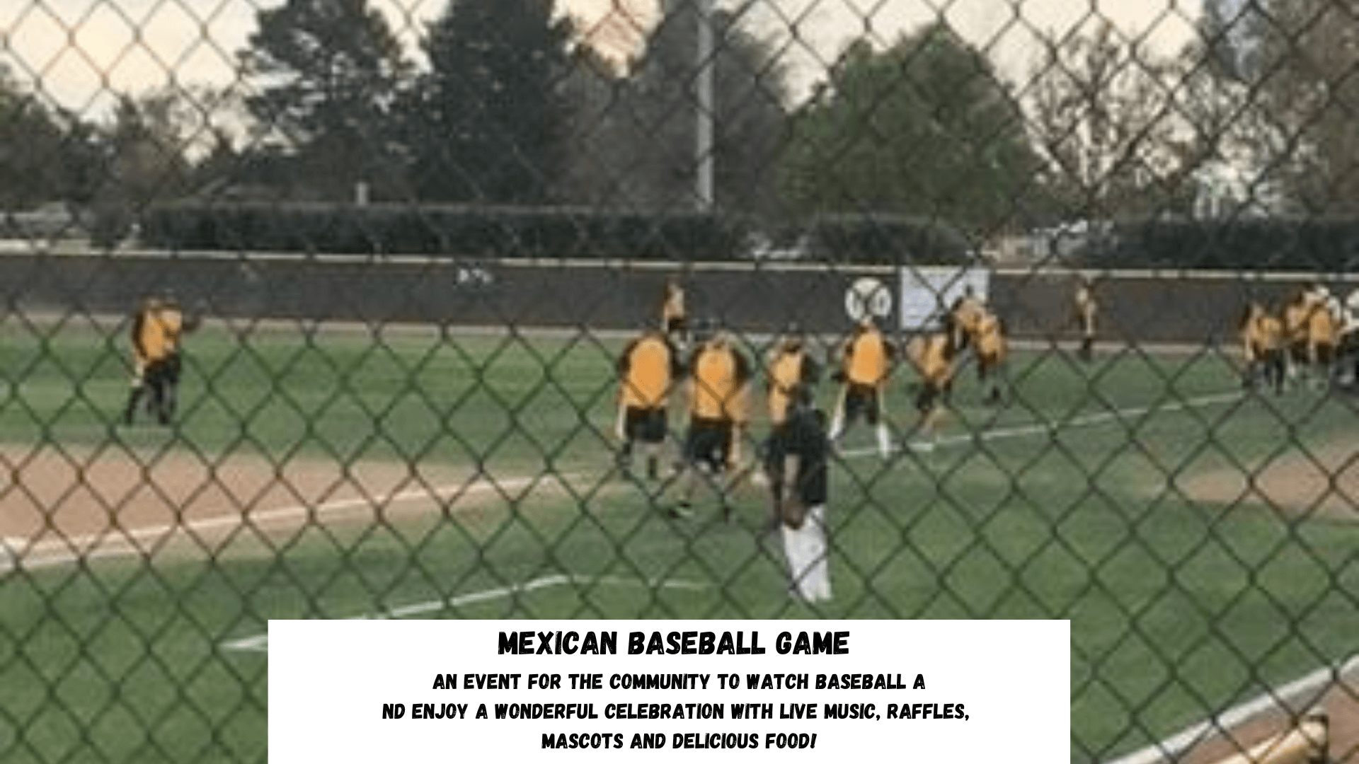 8. Mexican Baseball Game