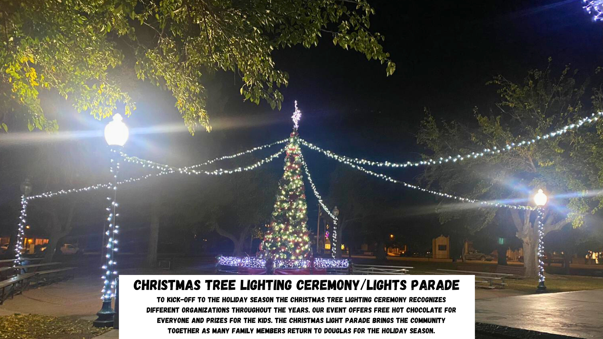 10. Christmas Tree Lighting and Lights Parade