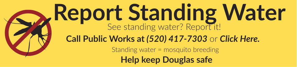 Standing Water Report